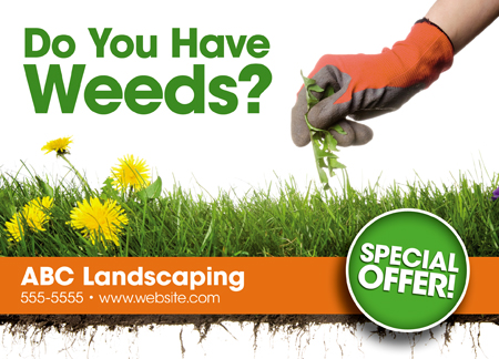 landscape company advertisement ideas